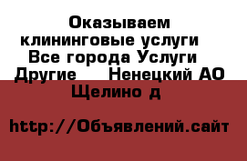 Оказываем клининговые услуги! - Все города Услуги » Другие   . Ненецкий АО,Щелино д.